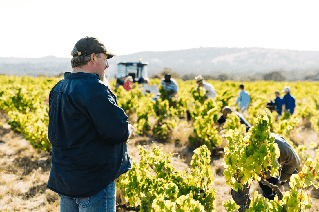 Young Gun of Wine - Finalist - Yangarra Estate Vineyard