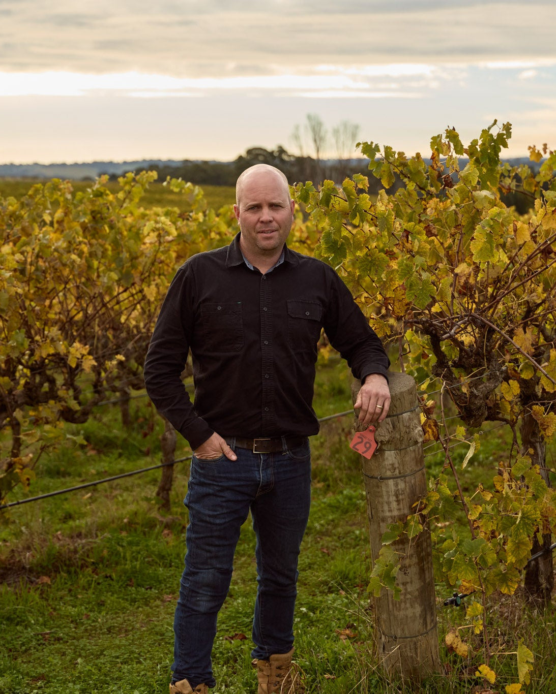 Cliff Wickman standing in Yangarra Vineyard during fall.
