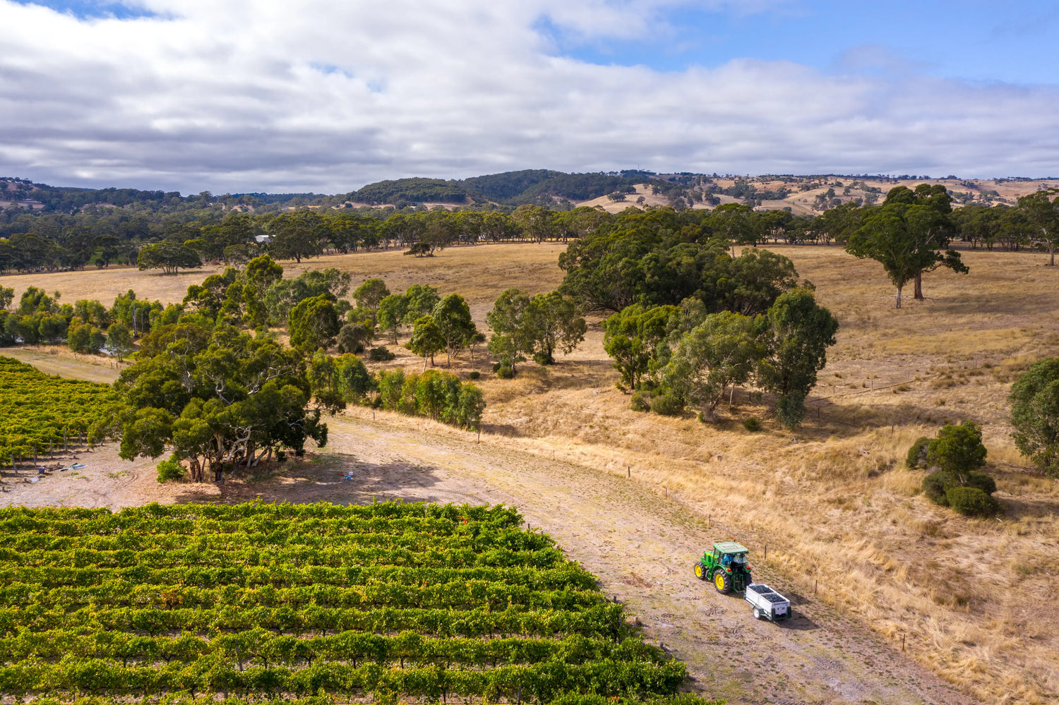 about-image-2 - Yangarra Estate Vineyard